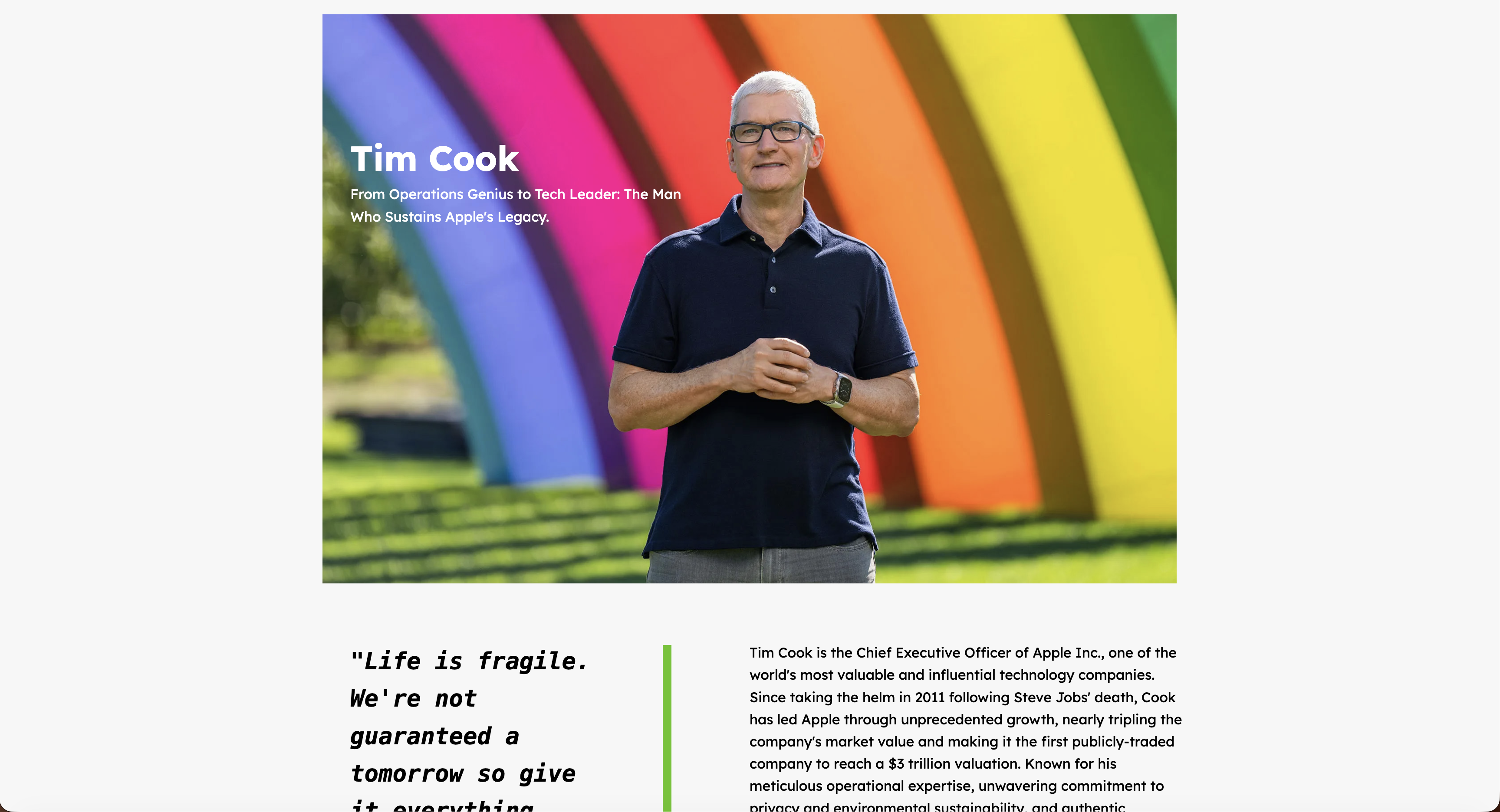 Screenshot of tribute site project